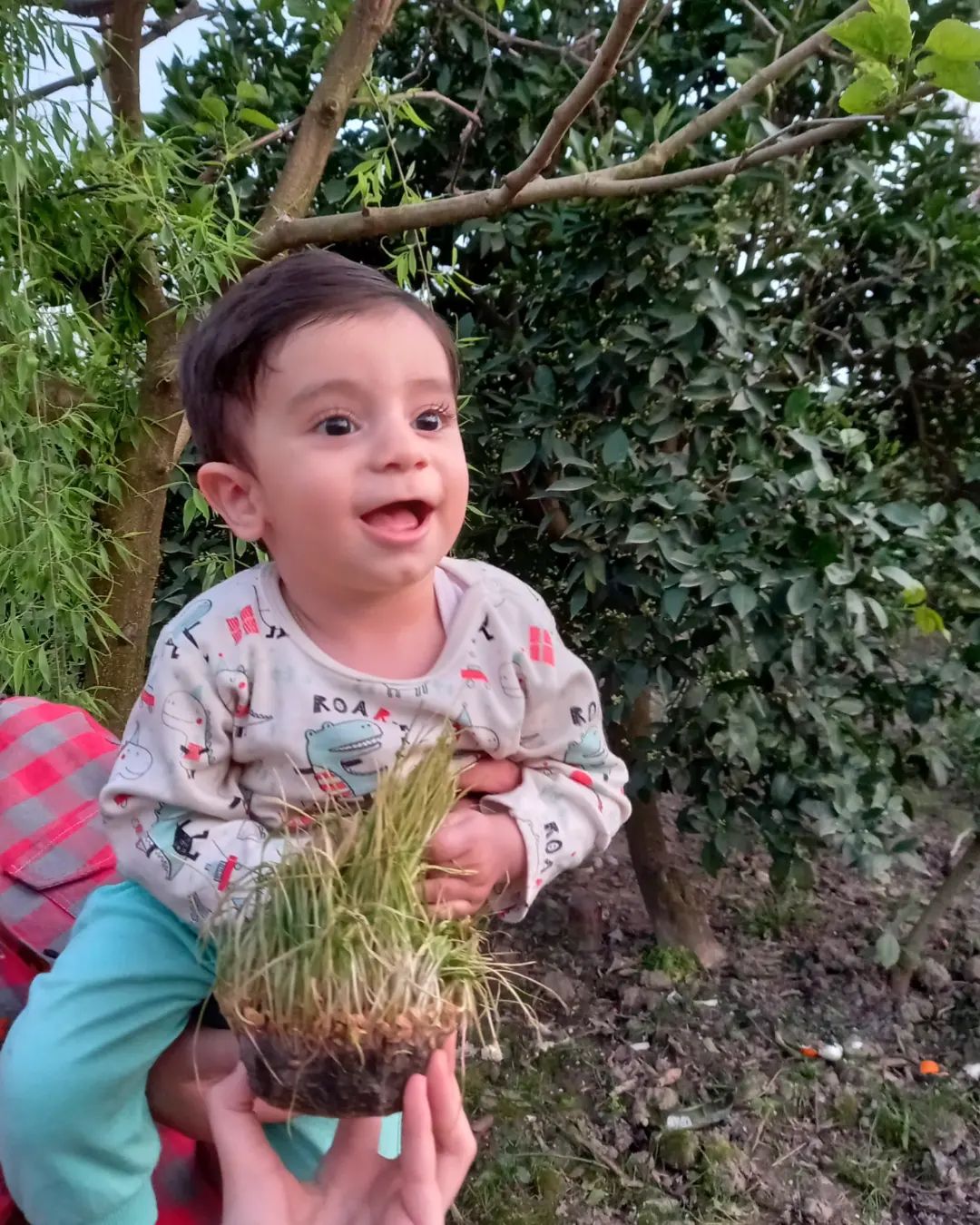 عکس سیزده بدر رهام براری