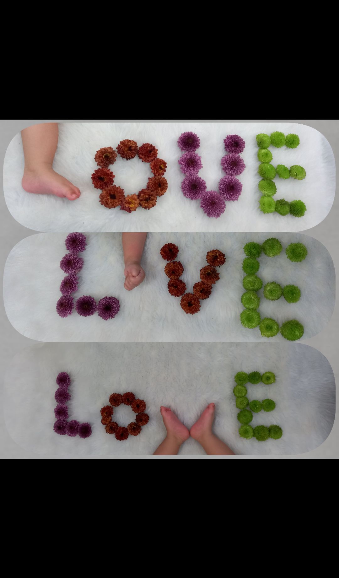 عکس رهام براری