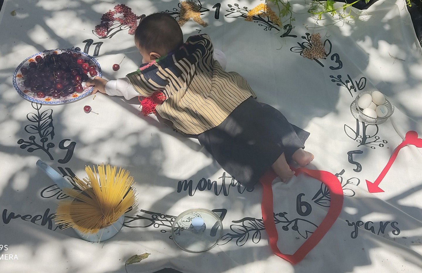 تم عکس تابستانی کودک آرادقهفرخی