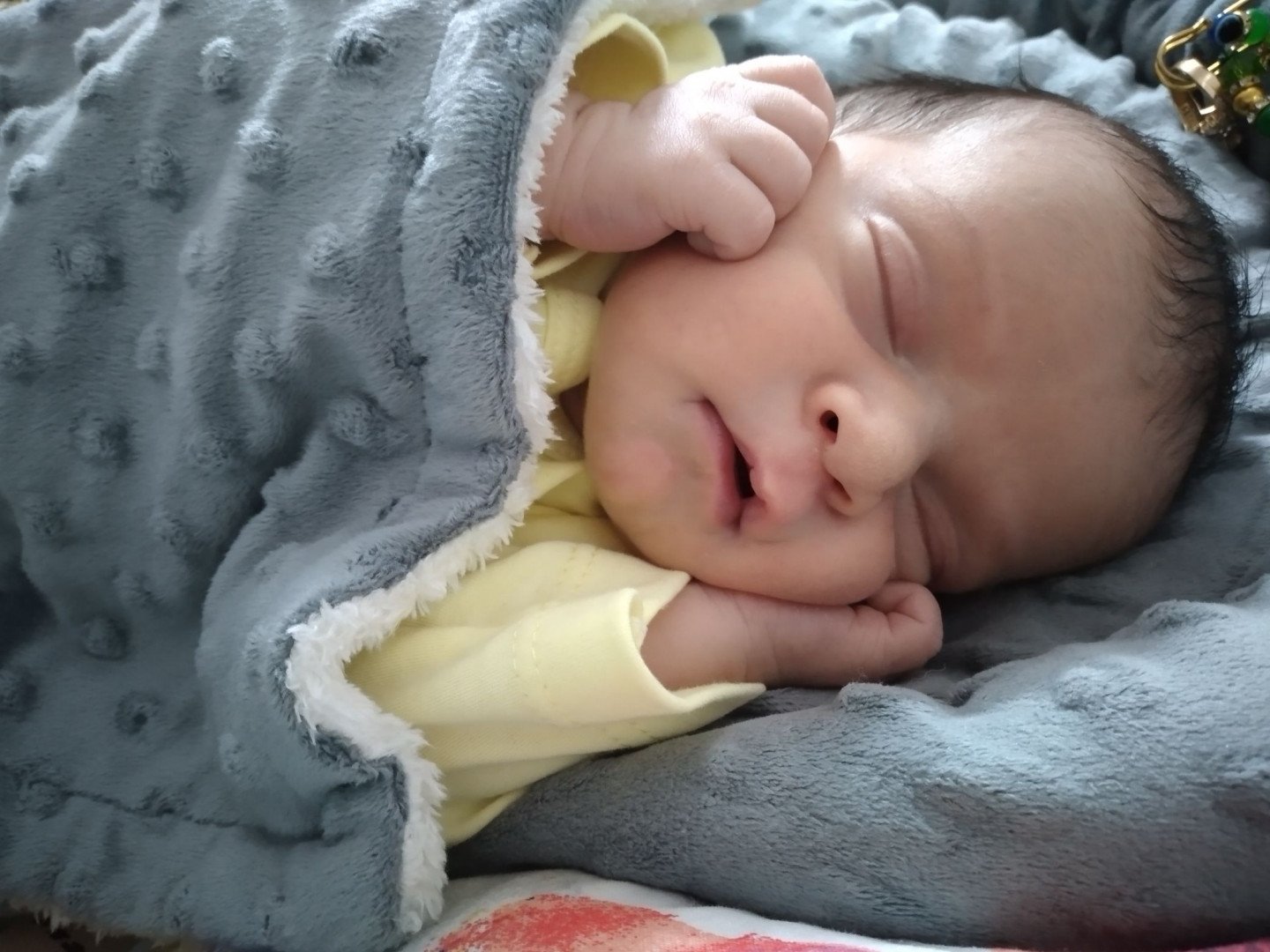 لالا کردنم آرمان