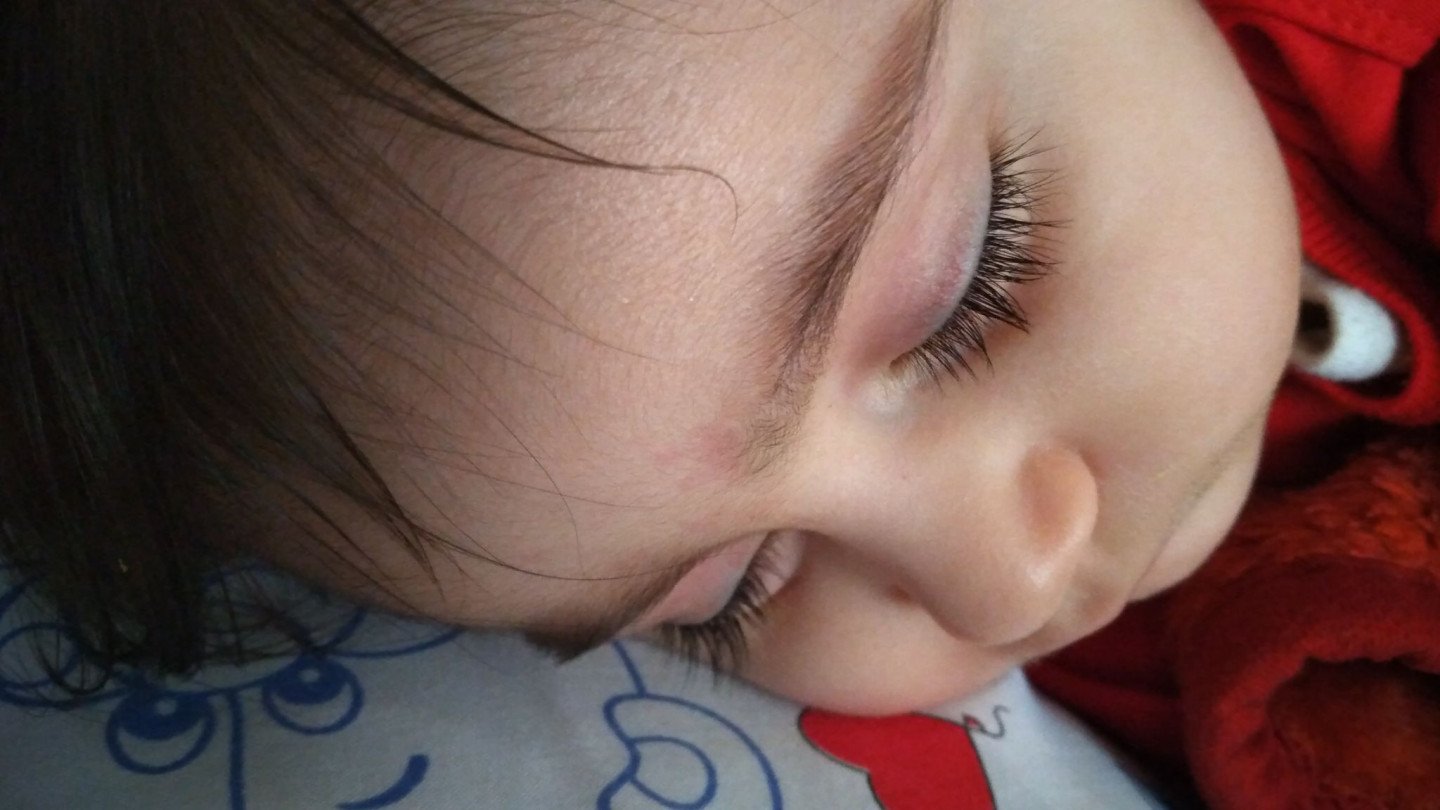 لالا کردنم سوگل چاوشیان