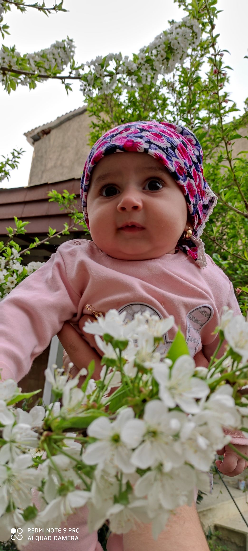 عید نوروز مرسانا قربان‌زاده