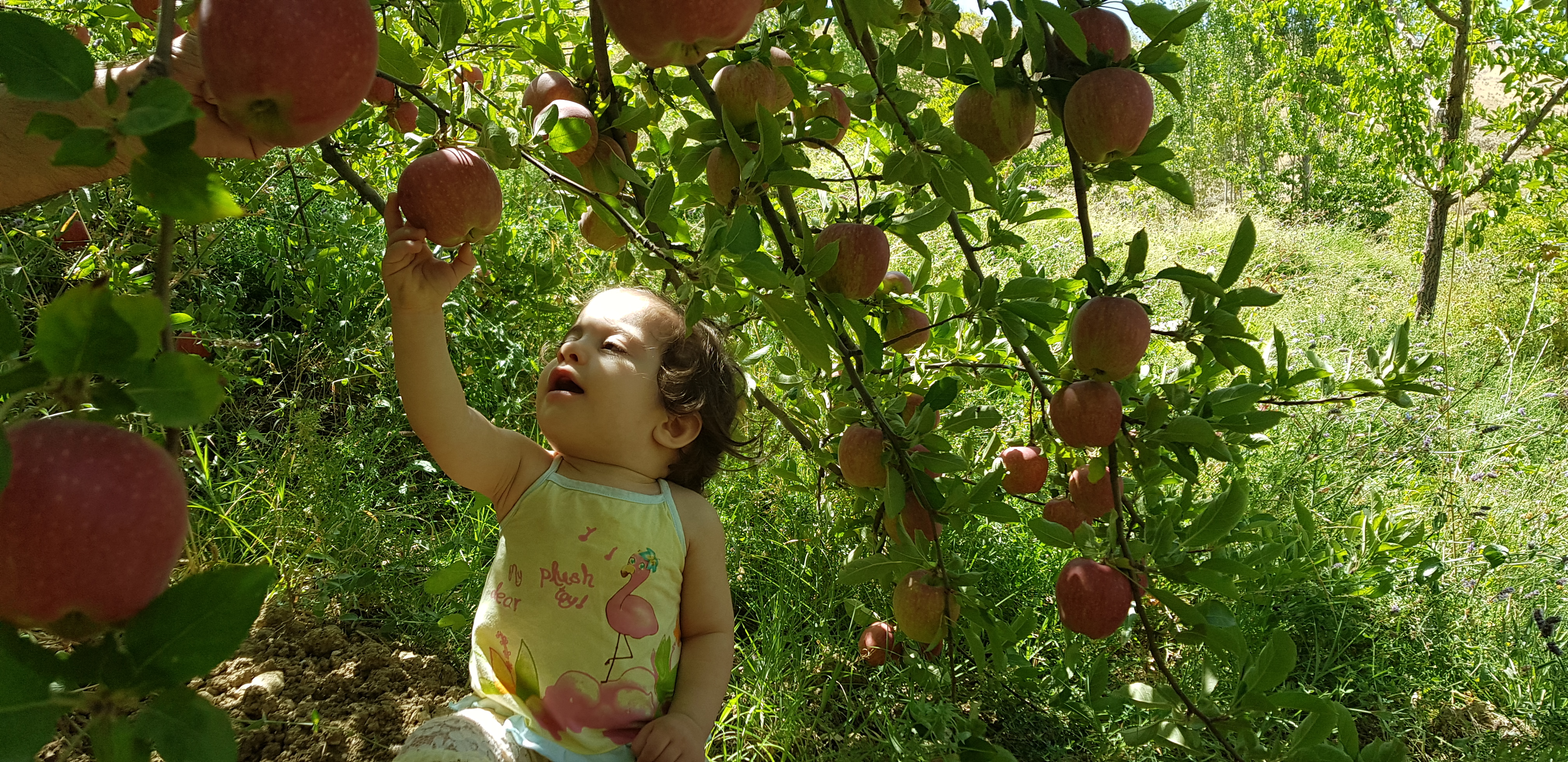 راه رفتن نوزاد ترمه امینی