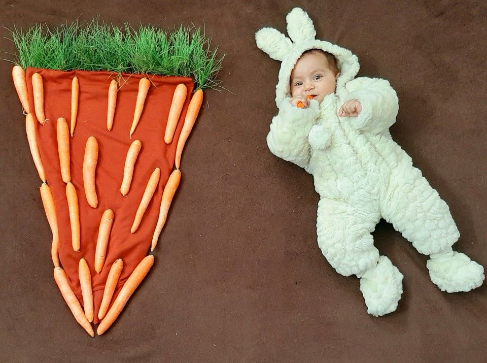 ماهگرد-آشپزی Arad Askari