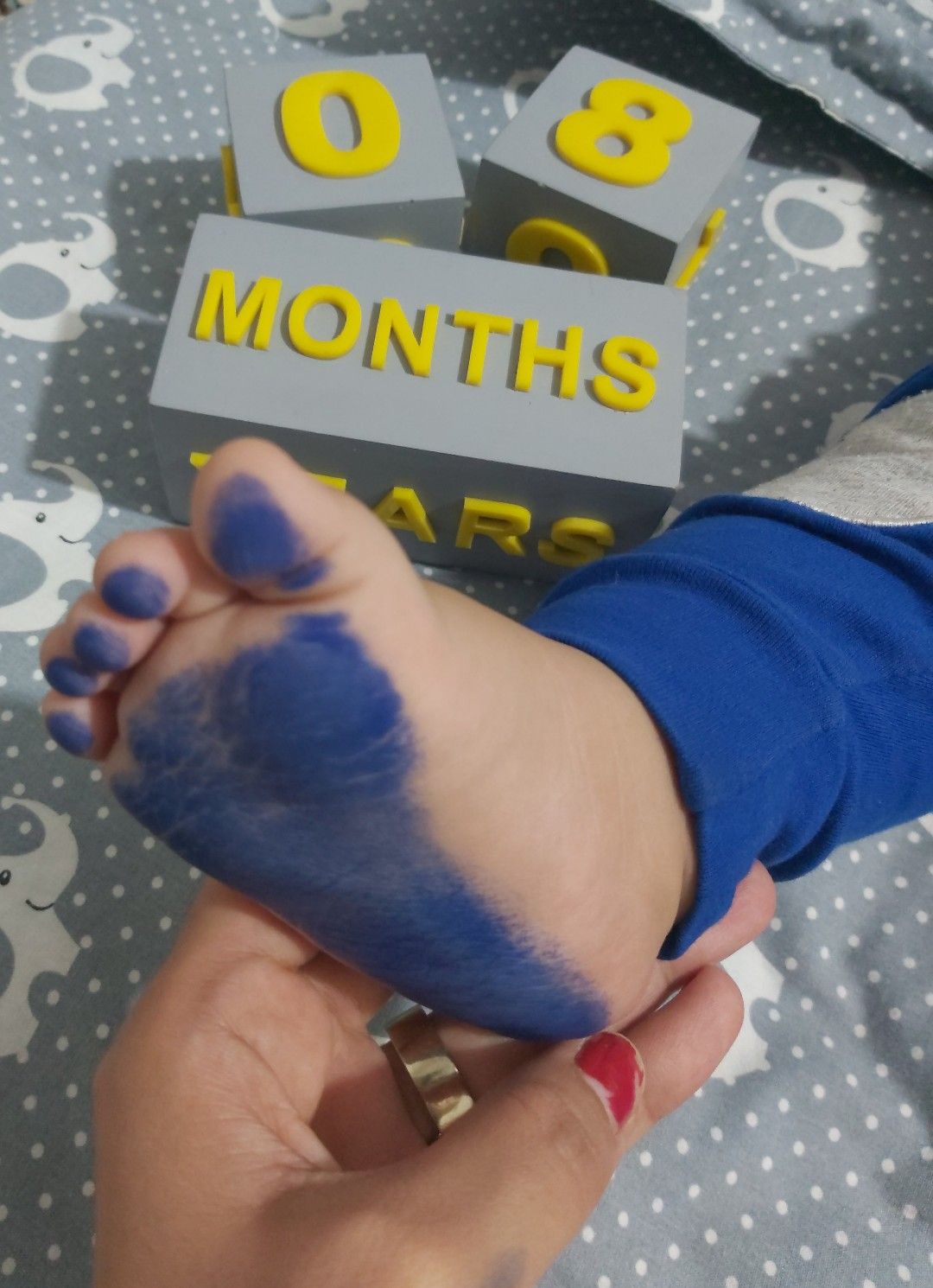 ۸ماهه هامین عارفی نسب