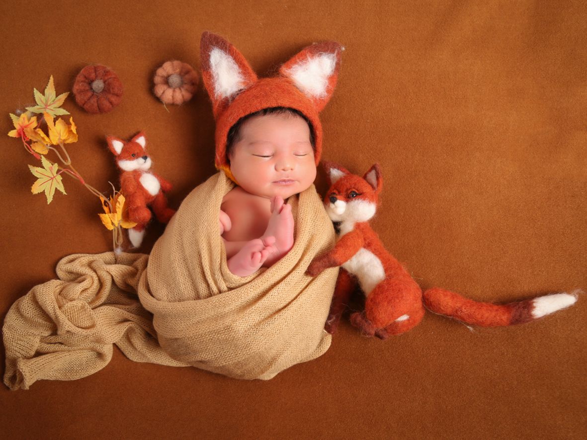 بارداری هامین عارفی نسب