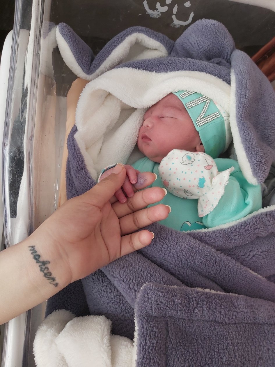 بارداری هامین عارفی نسب