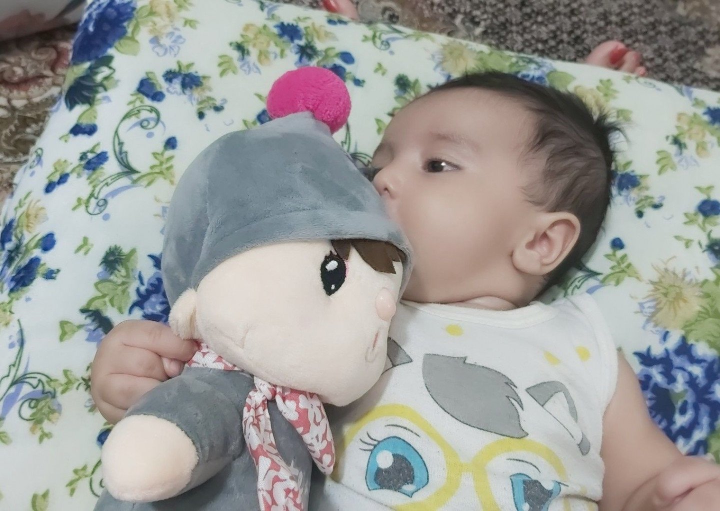 عروسک مورد علاقه هامین عارفی نسب