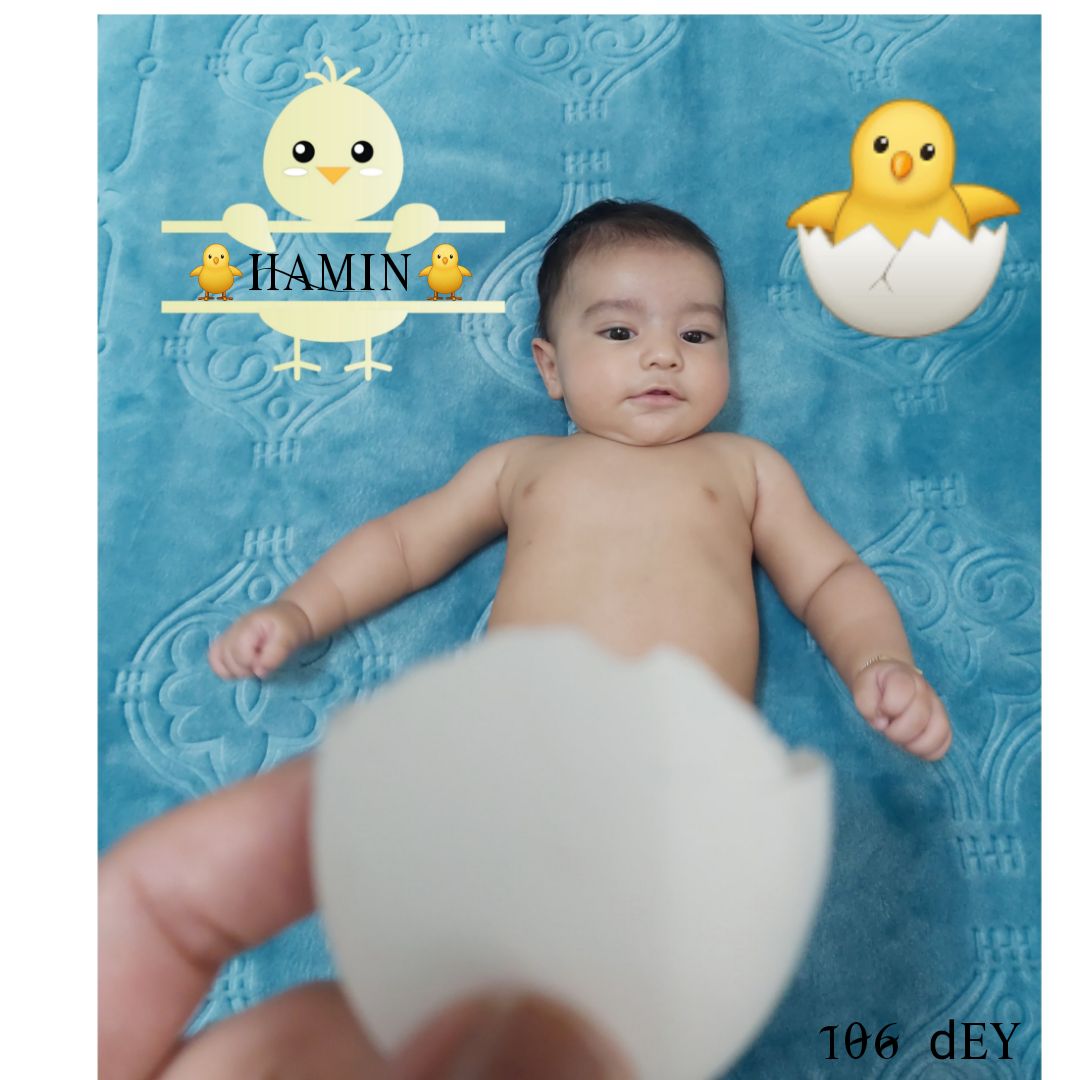 تم عکس تابستانی کودک هامین عارفی نسب