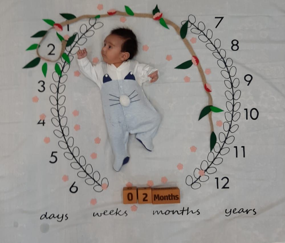 پارچه ماه شمار طرح شاخه زیتون نیکان نیکوکلام