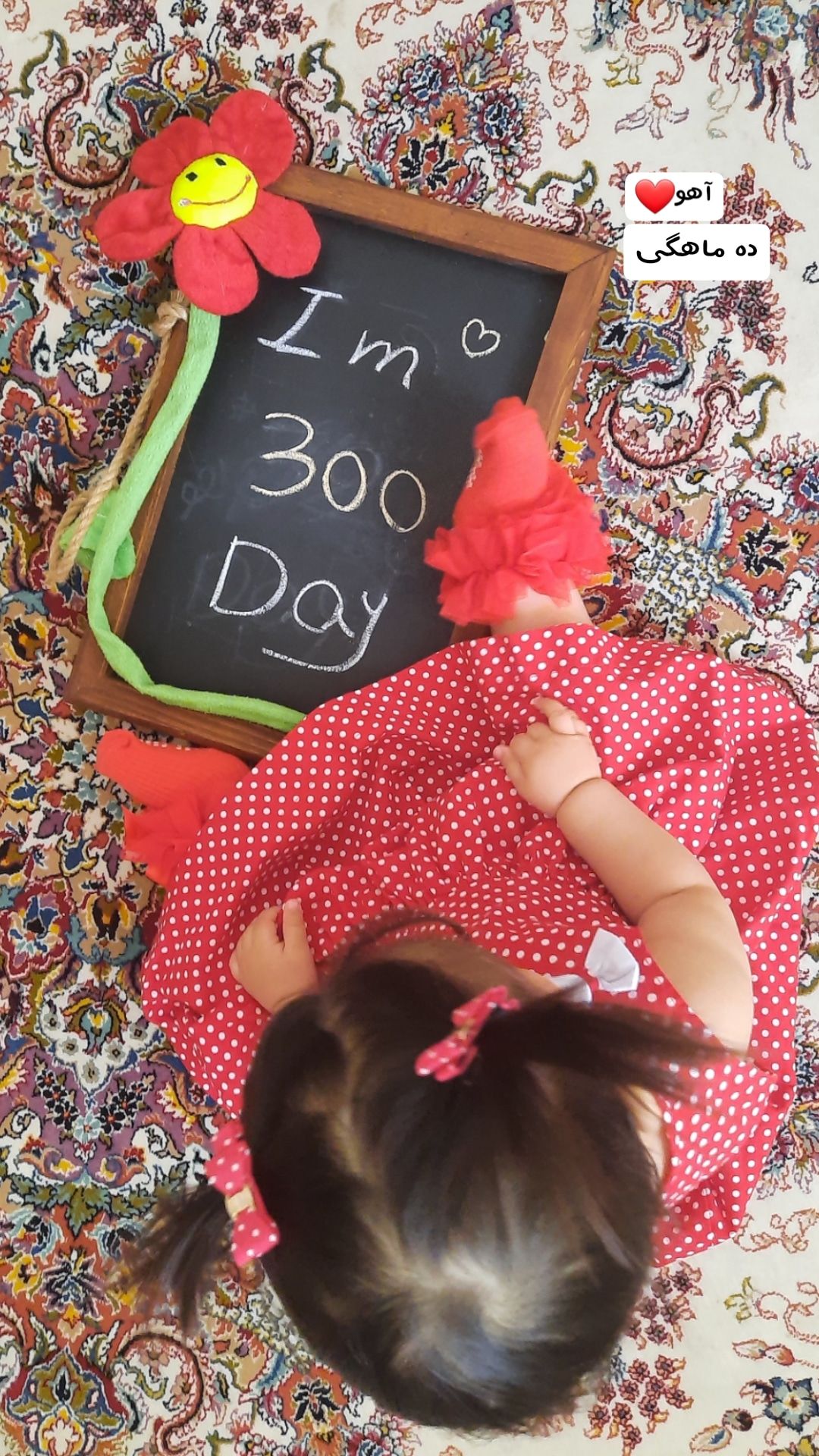 ده ماهگی نوزاد آهو