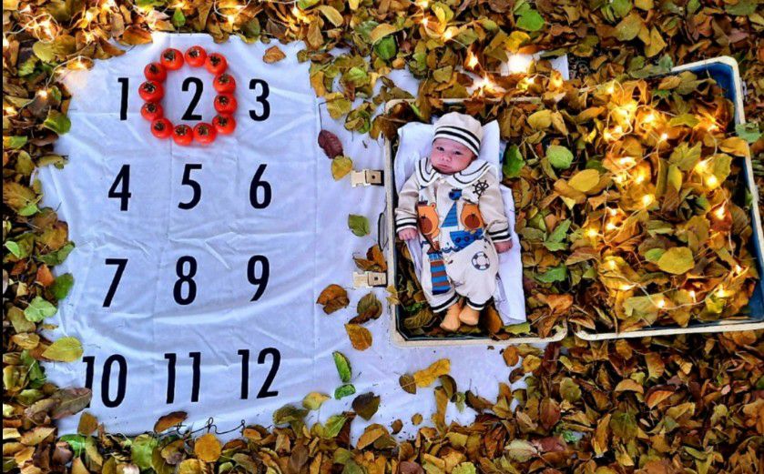 تم عکس پاییزی نوزاد البرز صادقی