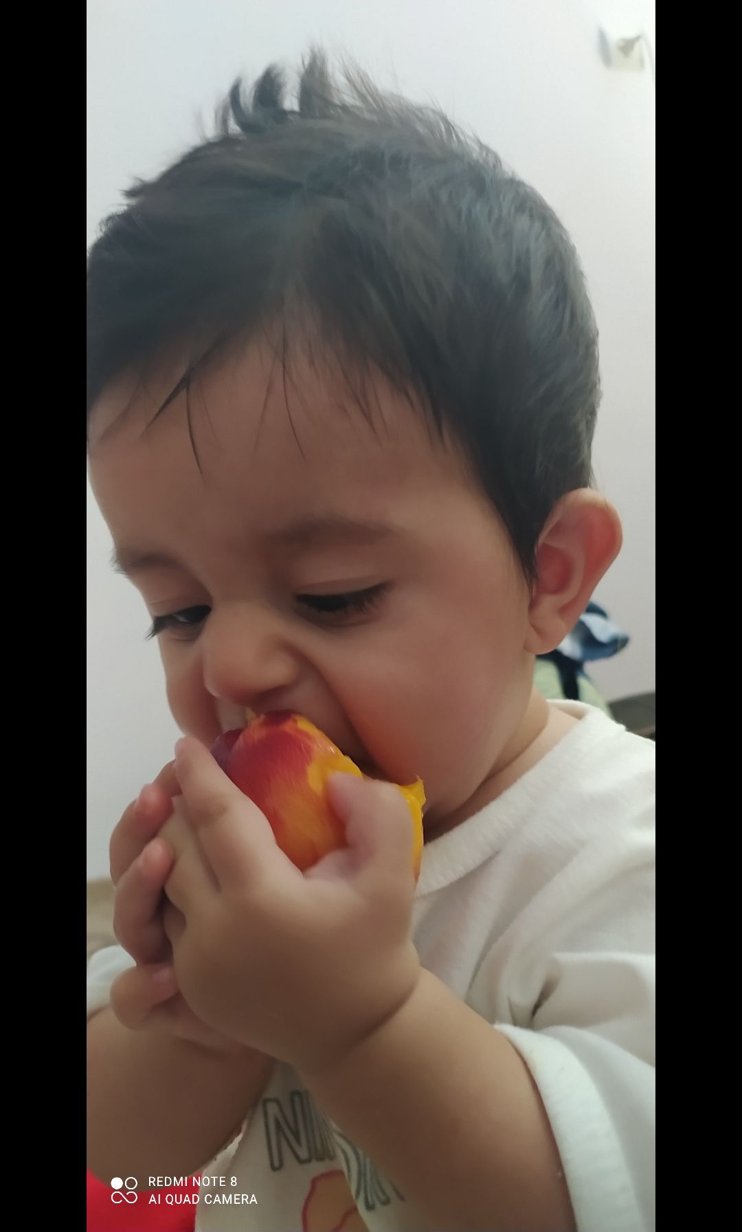 دفترهای-خاطرات-42968