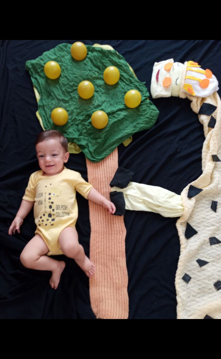 ایده اقا امیرعلی