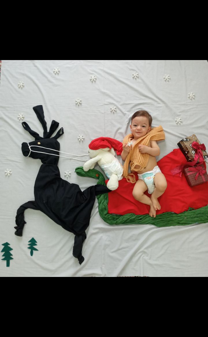 امیرعلی اقا امیرعلی