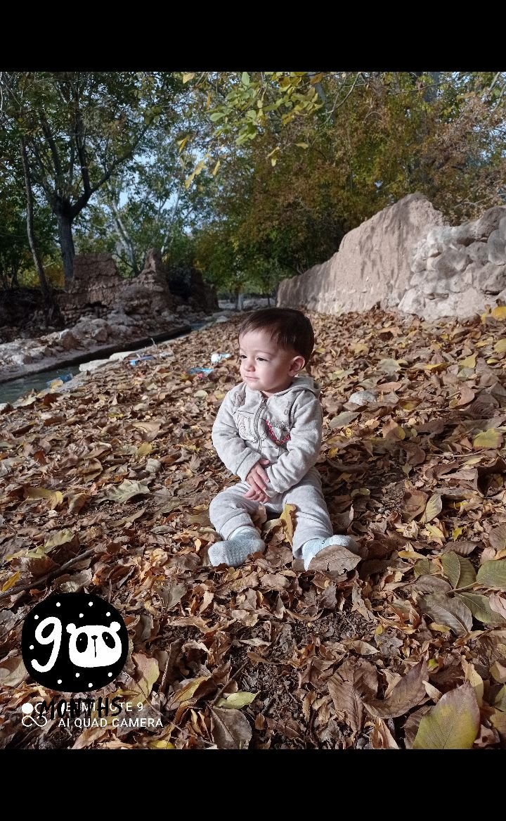 عکس-پاییزی اقا امیرعلی