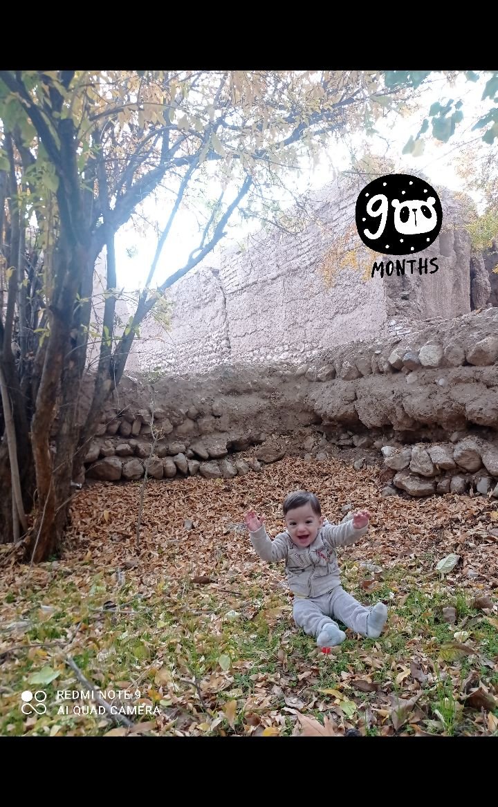 امیرعلی اقا امیرعلی