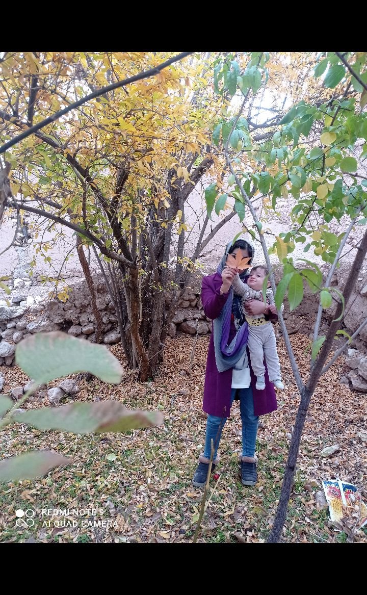 تم-پاییزی اقا امیرعلی