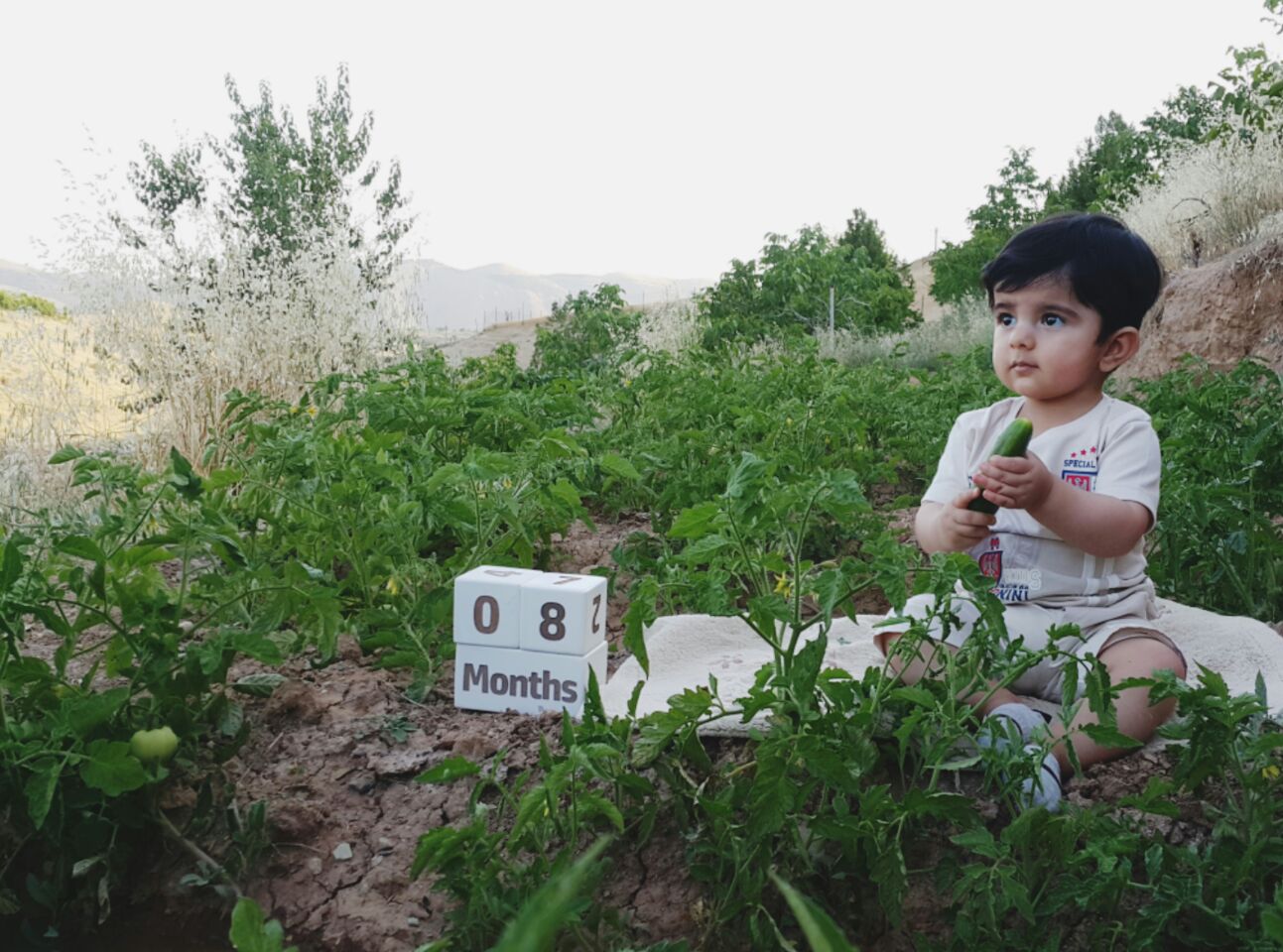 مکعب تاریخ‌شمار کیان لواسانی