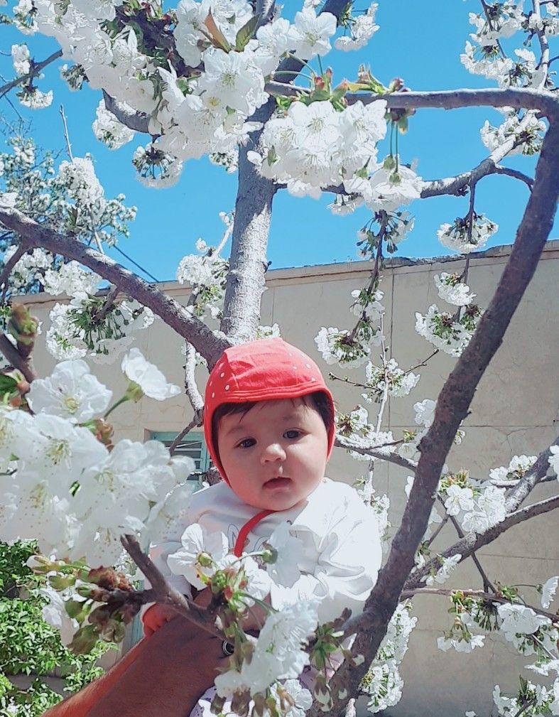 عکس سیزده بدر یاسمین افشار