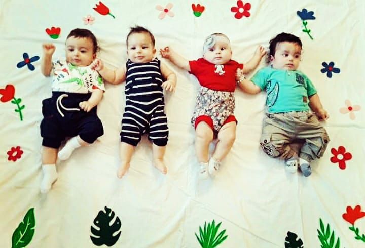 تم-عکاسی-گل-و-بلبل-39182