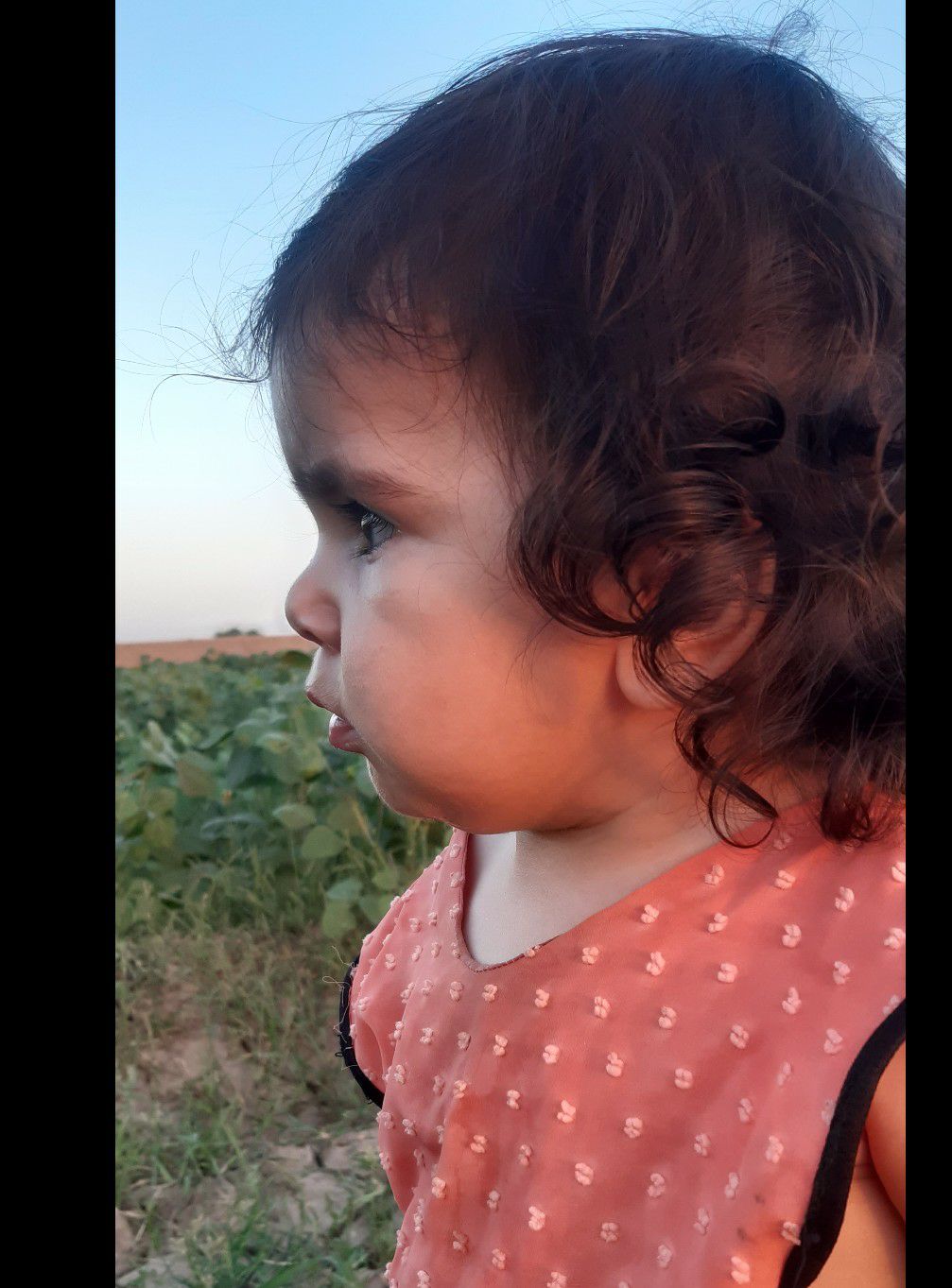 تم-پاییزی آیلین پور چگنی