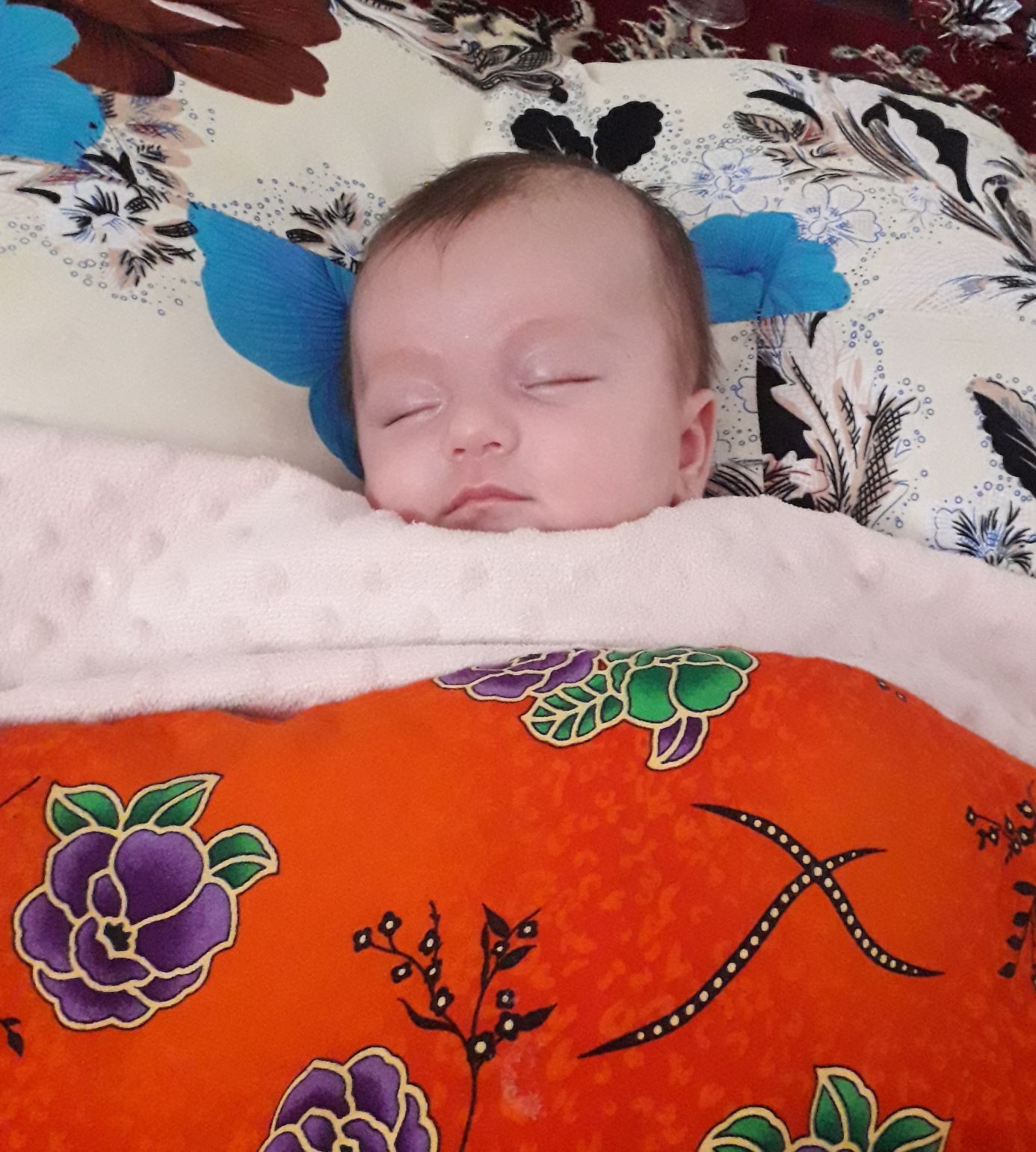 لالا کردنم پرنیا