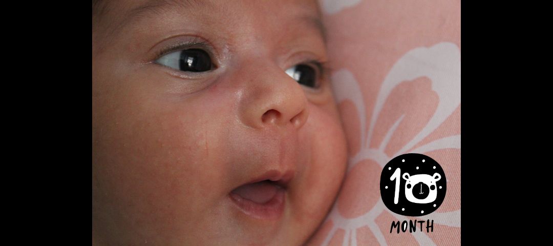 دل-آرا دل‌آرا سلیمانی