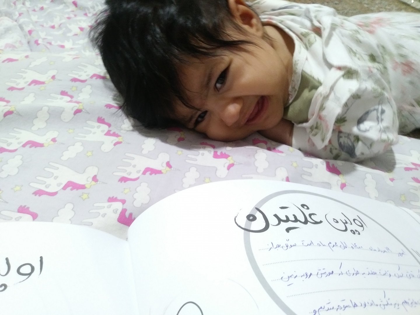 دفترهای-خاطرات-43310