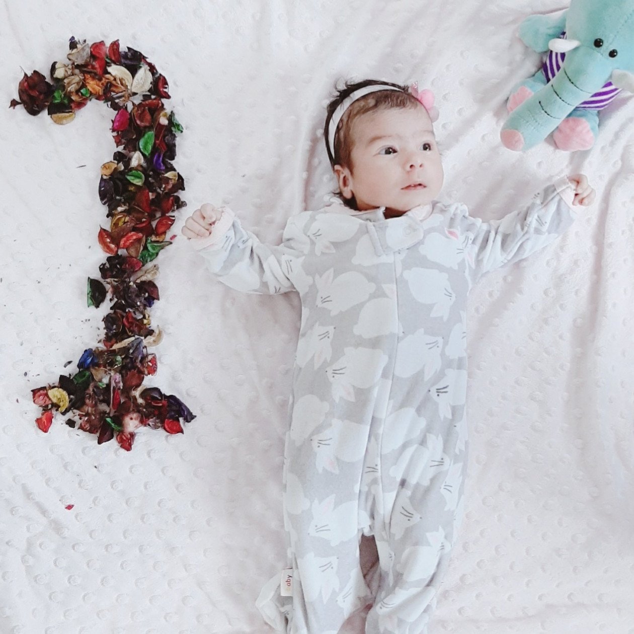 یک ماهگی نوزاد هانا مددی