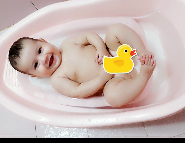 ایده پناه شاخص