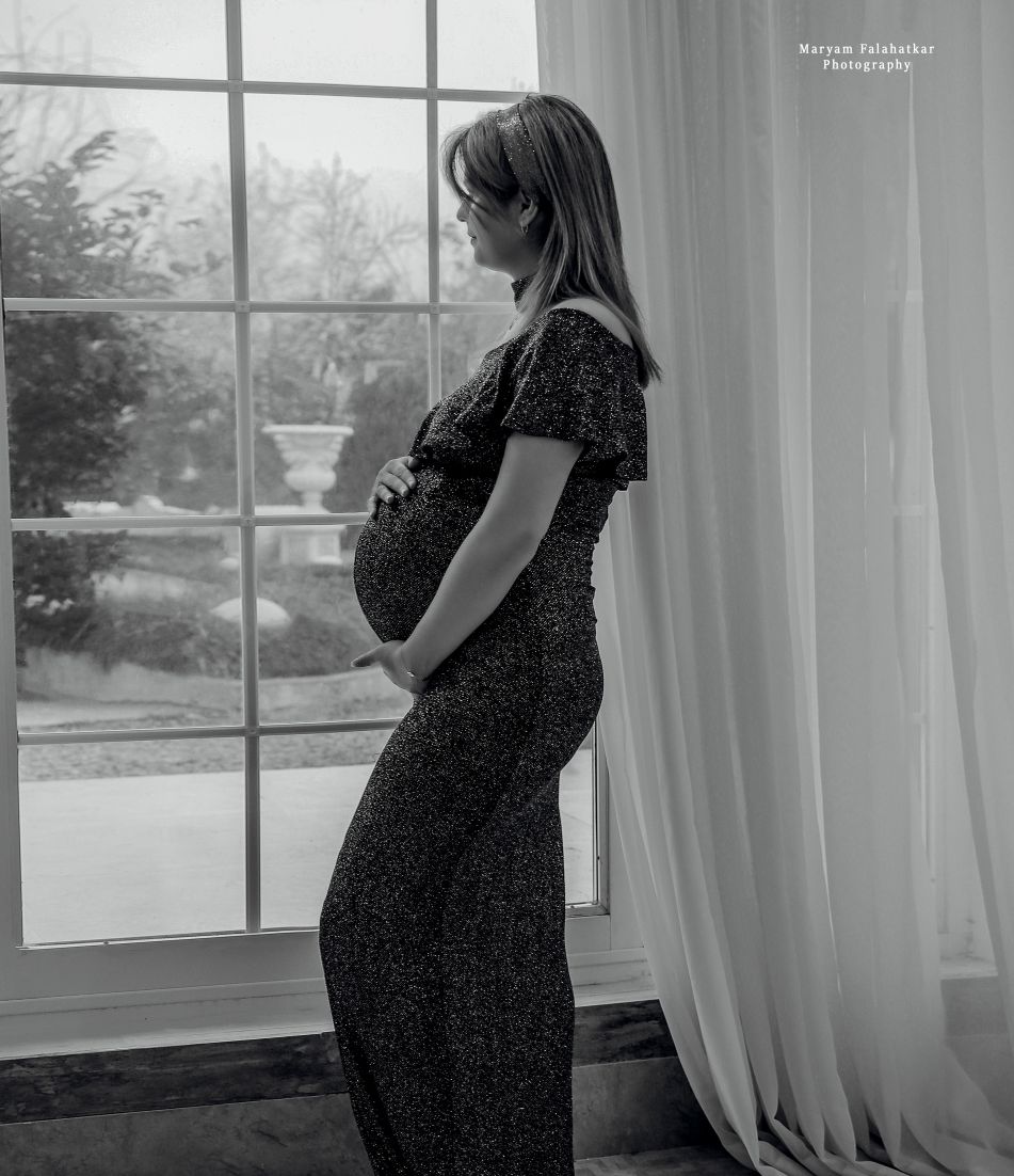 بارداری پناه شاخص