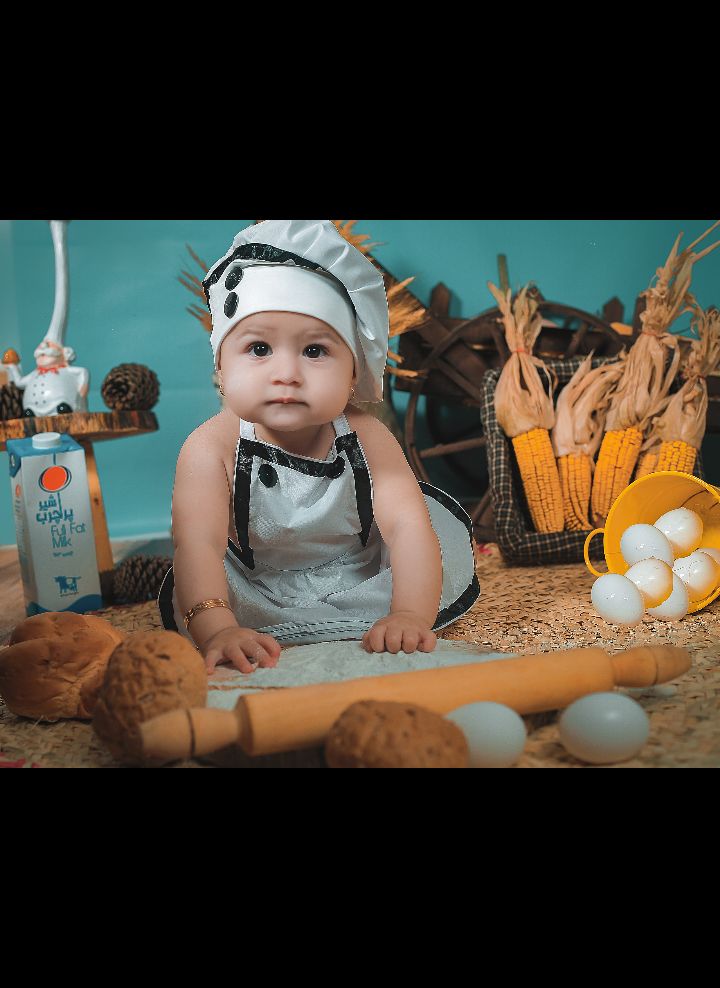 تخم-مرغ پناه شاخص