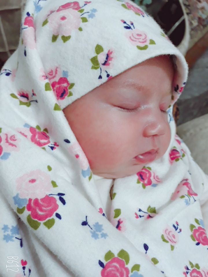 ماه رمضان پناه شاخص