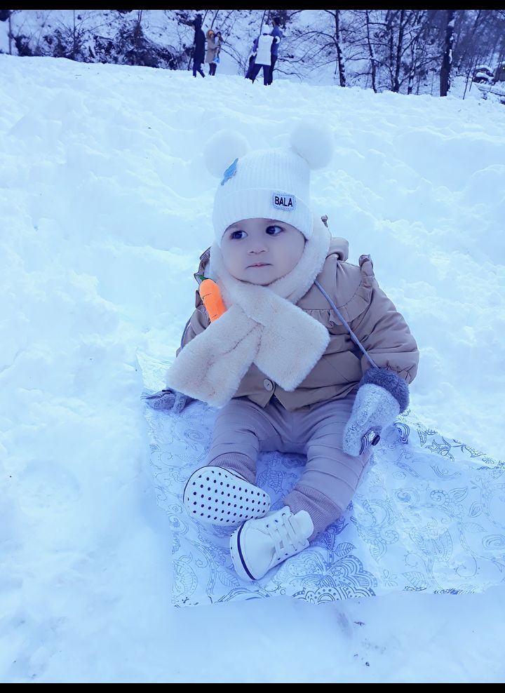 زمستون پناه شاخص