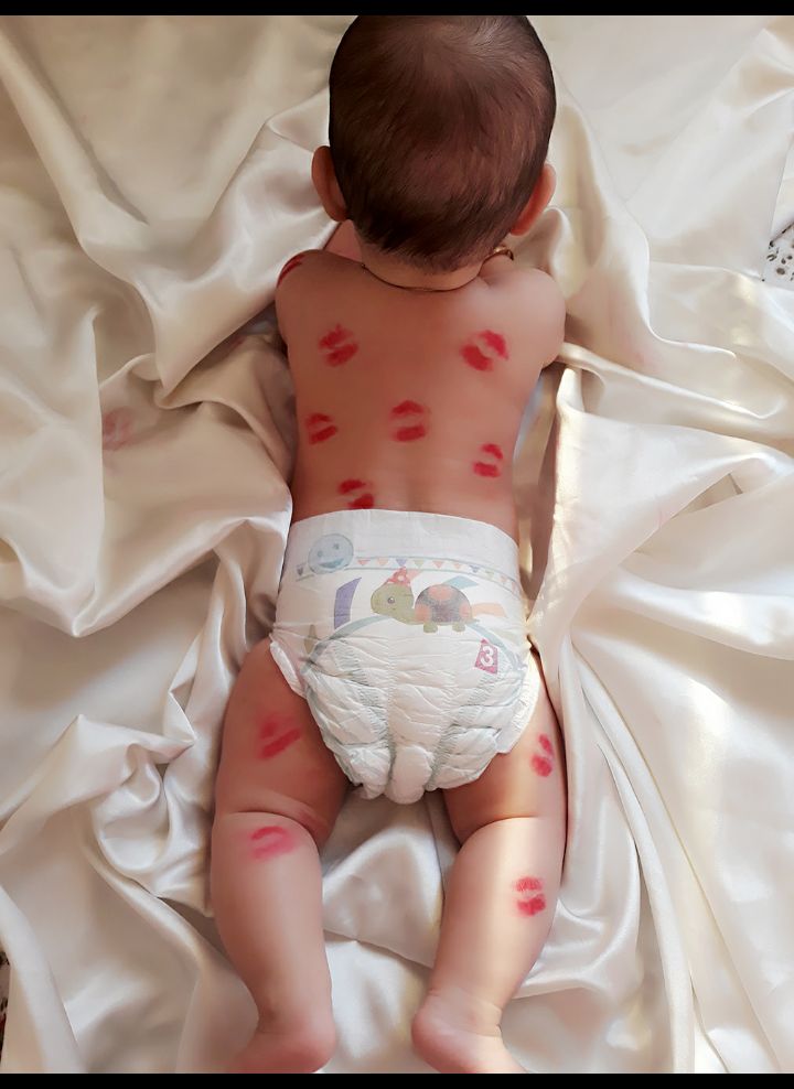 پنج-ماهگی پناه شاخص