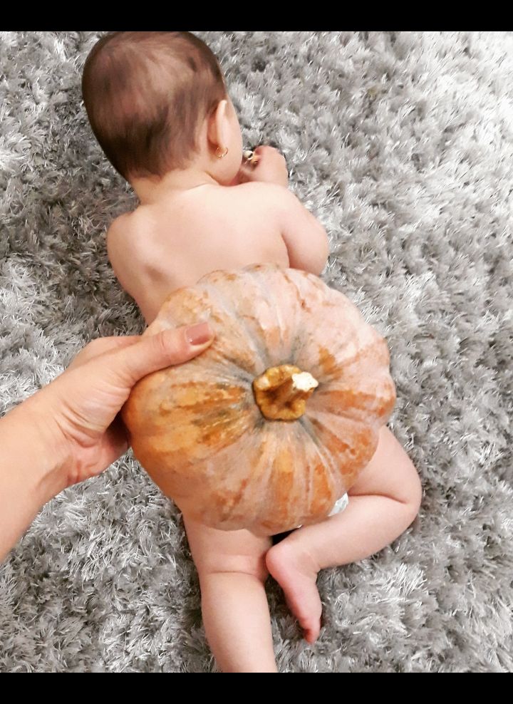 پا پناه شاخص