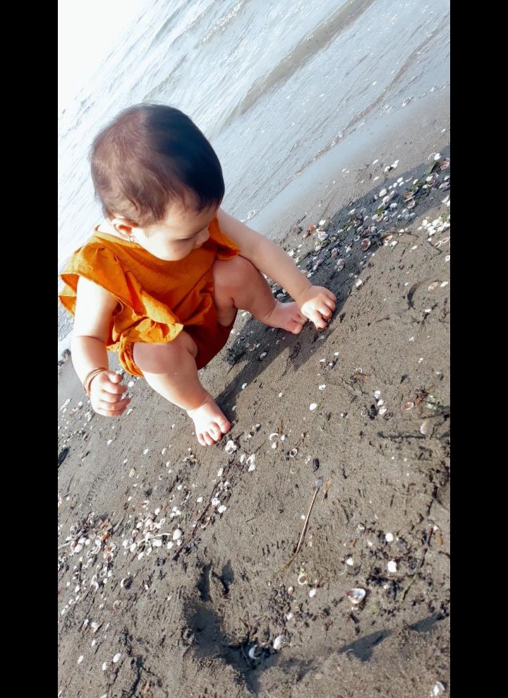 اولین-دریا پناه شاخص