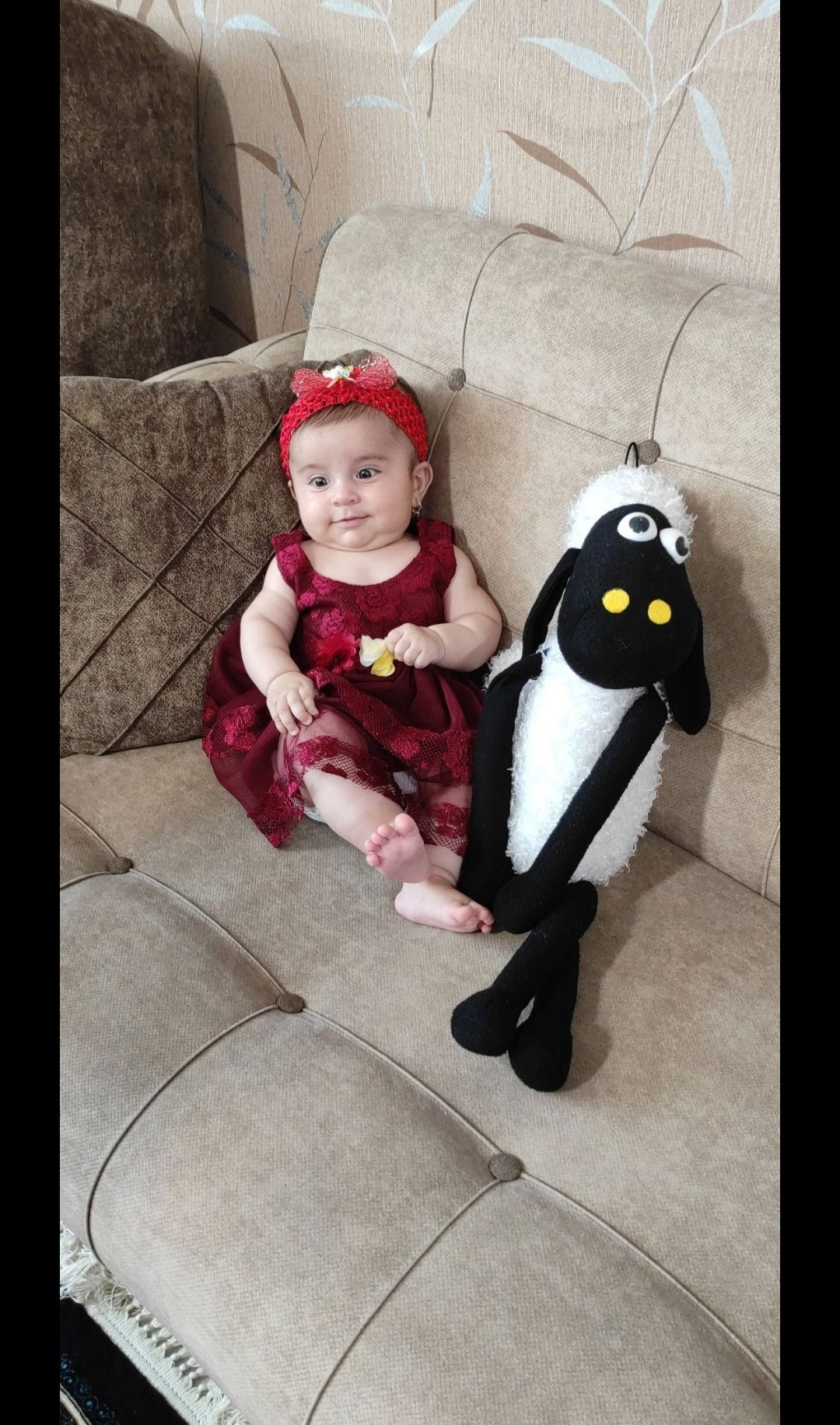 عکس نوزاد دختر جانا شکوهی