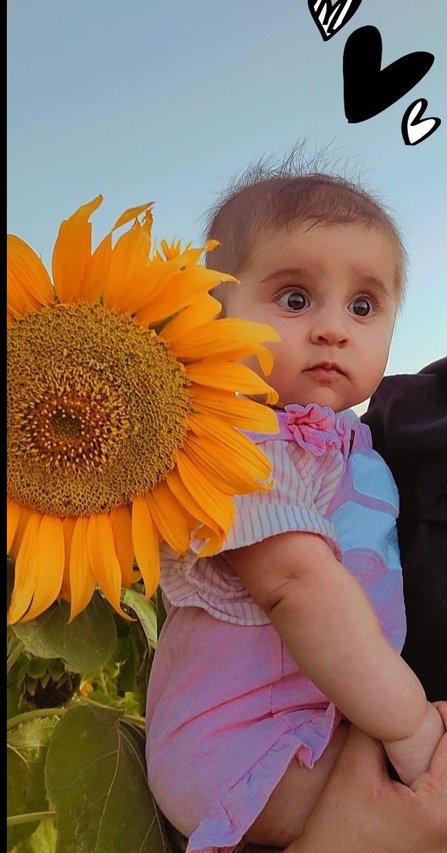 دختر جانا شکوهی