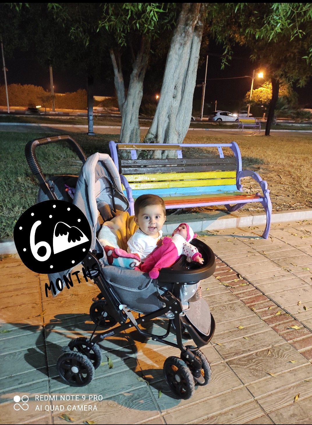 پارک-گردی جانا شکوهی