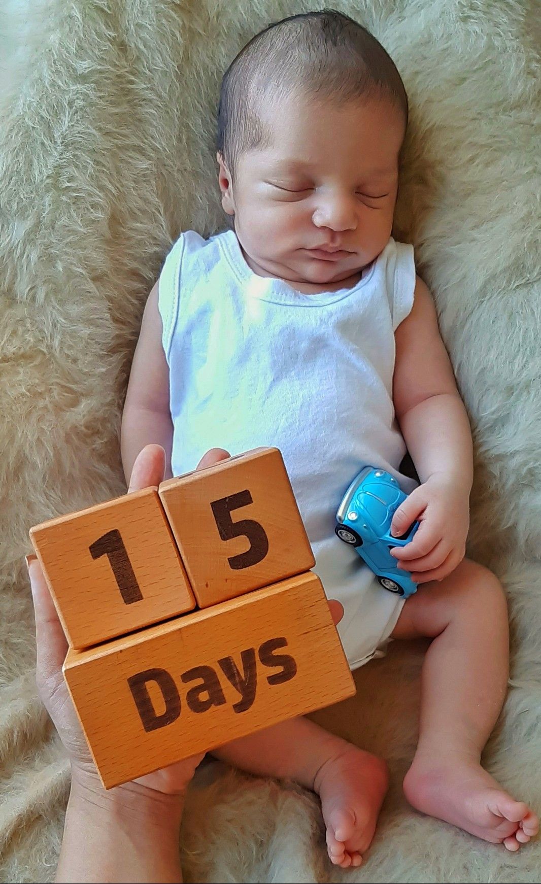 یک-عدد-نفس کیان قدیانی