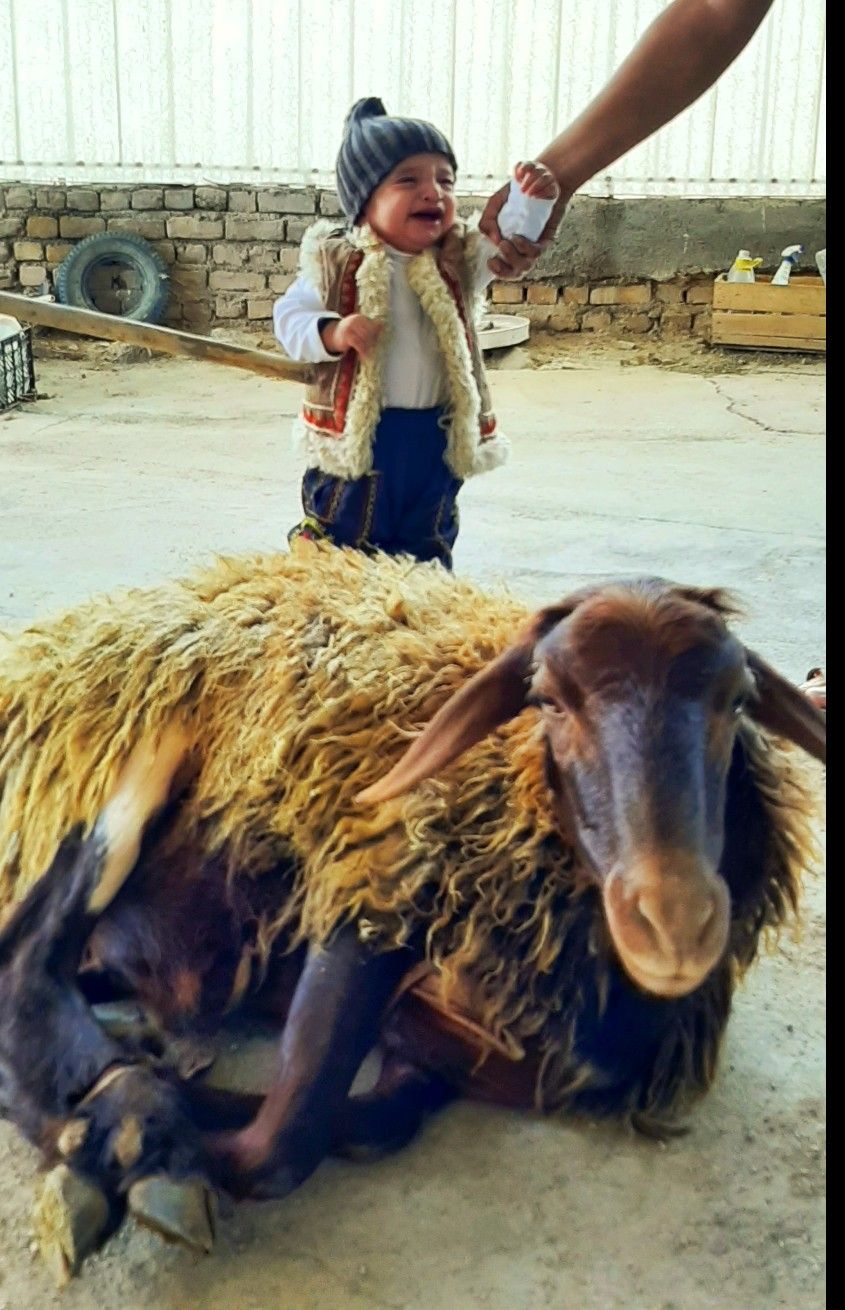 سیزده ماهگی کودک کیان قدیانی