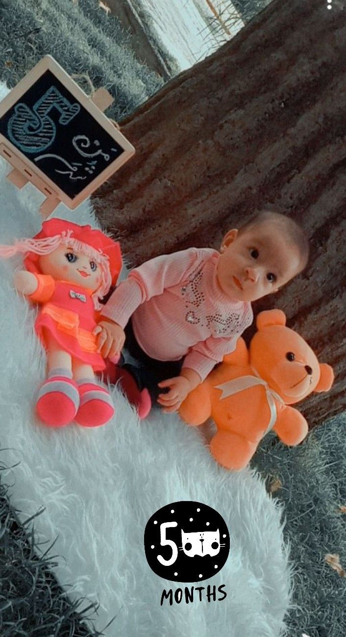 تخته-سیاه-ها-45141