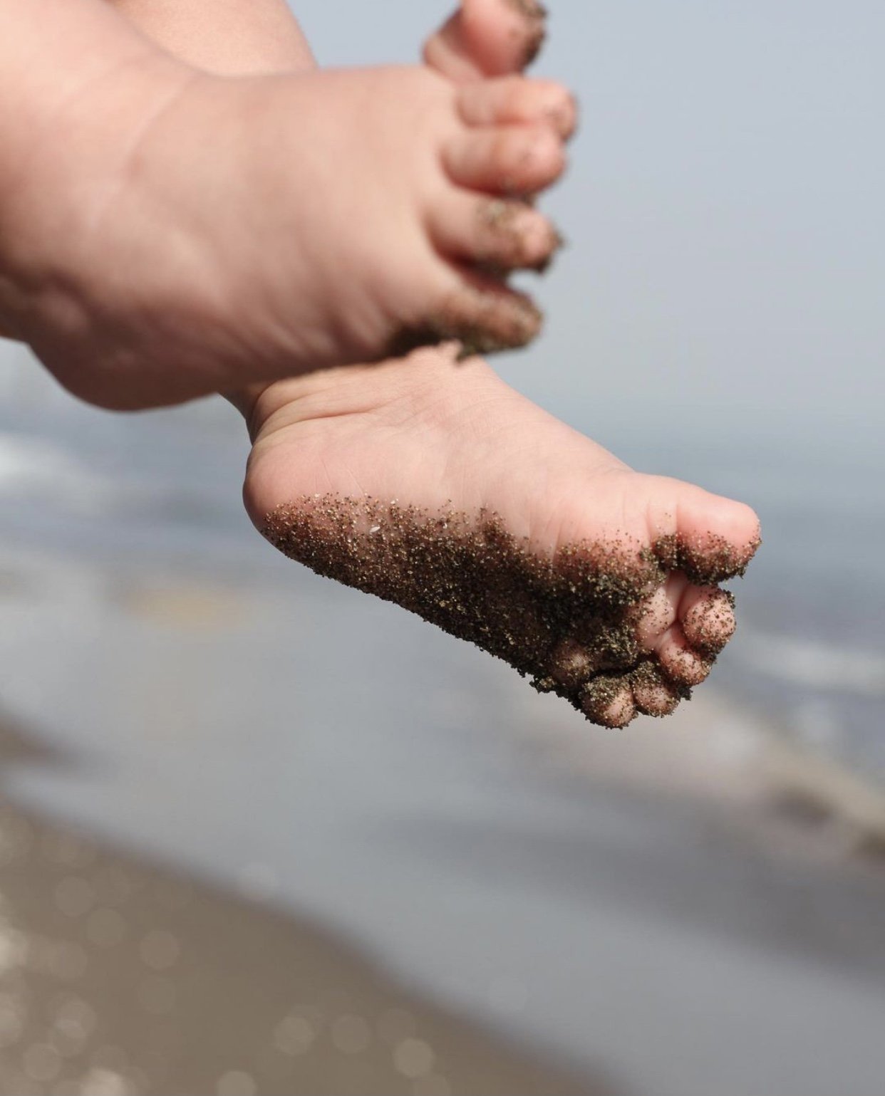 اولین سفر گندم فرجام