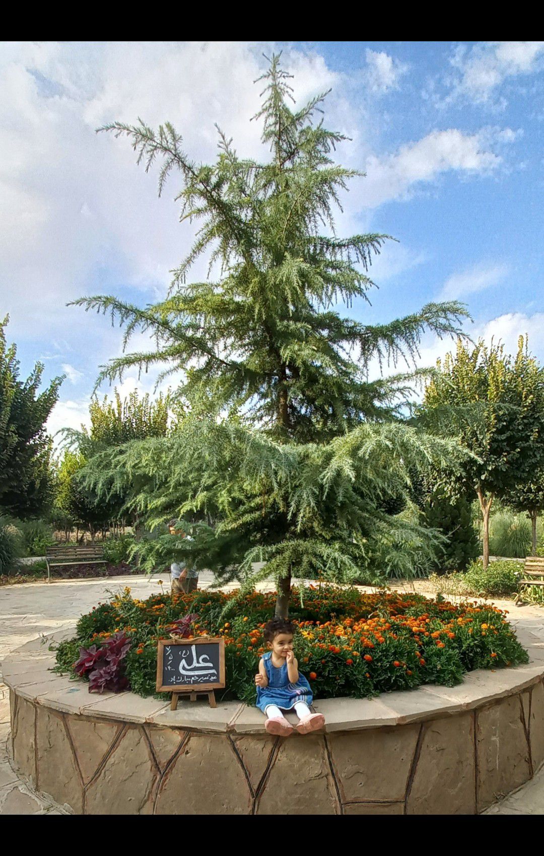 تم عکس تابستانی کودک همتاباوی