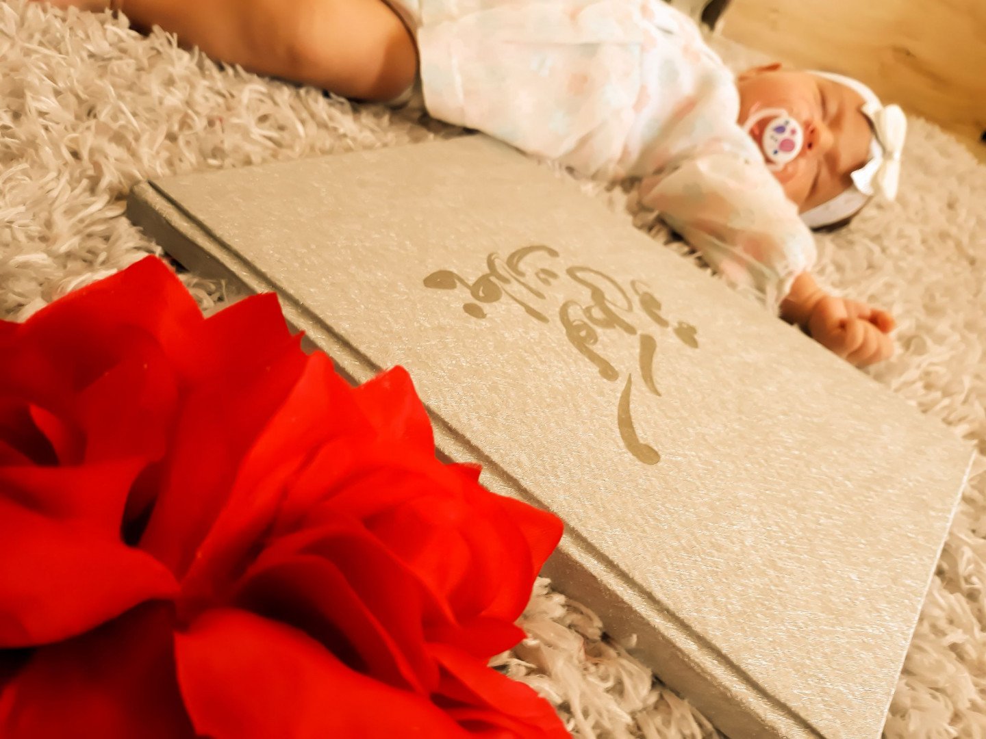 آلبوم خاطرات کودکی سلوا کلانتری