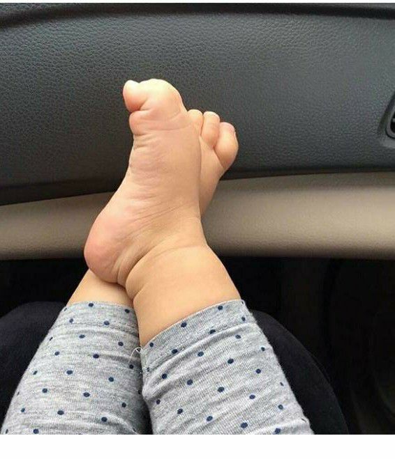 بارداری ایلار