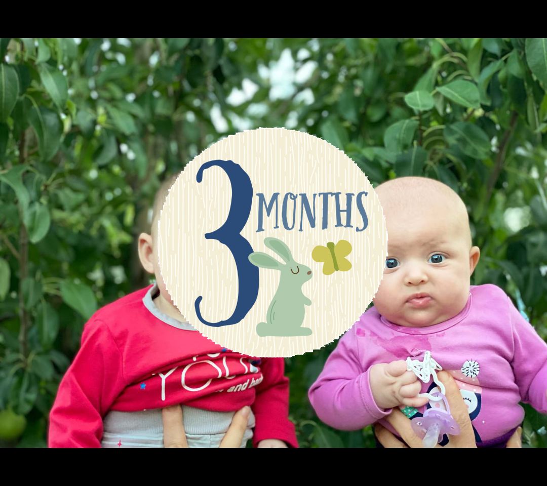 عکس نوزادان دوقلو هانا و هیراد فتوحی