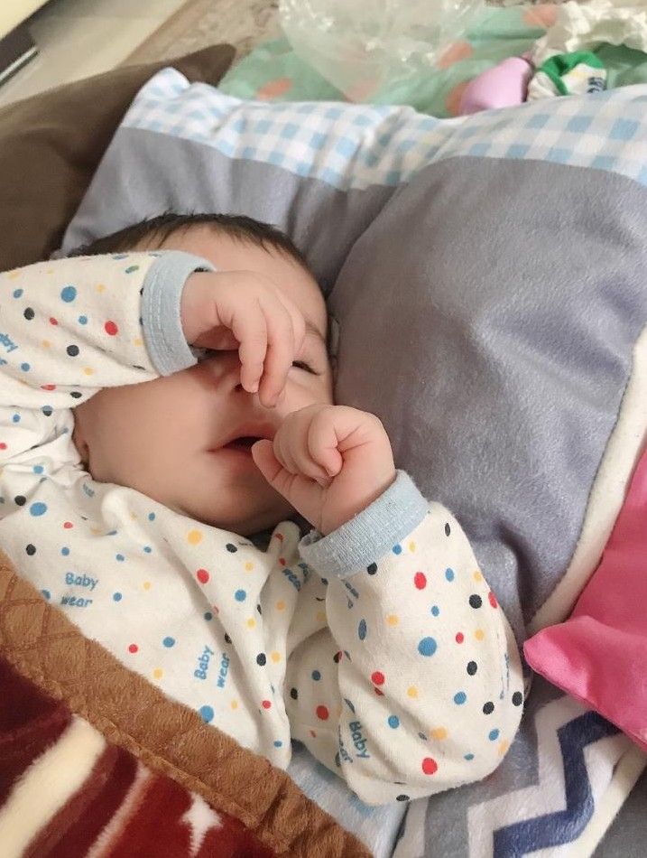 لالا کردنم امیرمحمد رومی نژاد